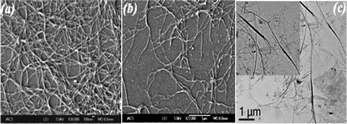 (a) and (b) are the FE-SEM images at a concentration of 4.4 × 10−5 M, derived from the diluted samples of PBI-Y hydrogel nanofibers and (c) is the TEM image at a concentration of 8.8 × 10−6 M, derived from the more diluted sample of the hydrogel nanofibers.