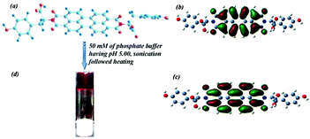 (a), (b) and (c) are the chemical structure, HOMO and LUMO structures, respectively, of the PBI-Y hydrogelator and (d) shows a photograph of the hydrogel in an inverted glass vial; the arrow indicates the formation of the hydrogel under the specified conditions.