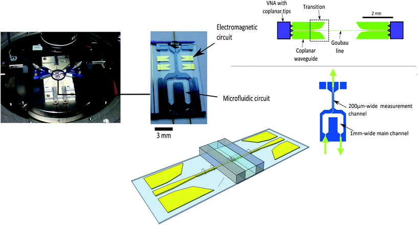 THz BioMEMS with electromagnetic and microfluidic circuits.