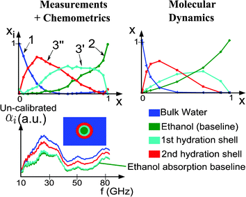 Decomposition of the measurement dataset by MCR-ALS. Concentration of the four species as a function of ethanol volume ratio. Non-calibrated absorption of the four species as a function of the frequency.