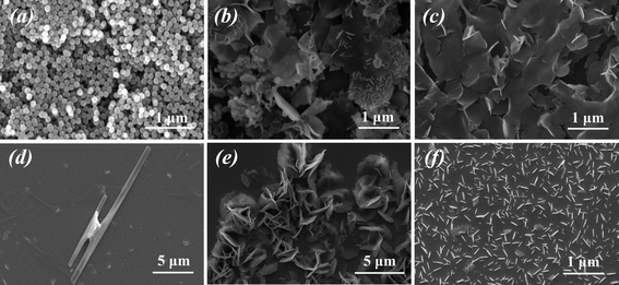 Scanning electron micrographs (SEM) of silica structures. The silica structures are obtained under static conditions using (a) PLL1, (b) PLL2 and (c) PLL3. (d) Clubbed silica structures are obtained after electrostatic field-assisted deposition of PLL1 at the ITO surface. (e) Biosilica platelets with a denser distribution, obtained after electrostatic field assisted deposition of PLL2 at the ITO surface. (f) Loosely organized silica platelets obtained after electrostatic field assisted deposition of PLL3 at the ITO surface.