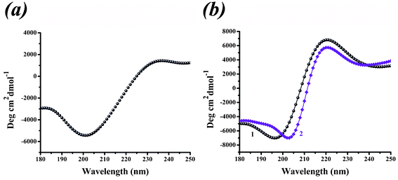 (a) Circular dichroism (CD) spectra in the presence of PLL/phosphate under static conditions. (b) CD spectra in the absence (curve 1) or presence (curve 2) of silicic acid under an electrostatic field.