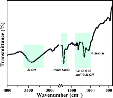 Fourier transformed infrared (FT-IR) spectra of silica precipitated by PLL.