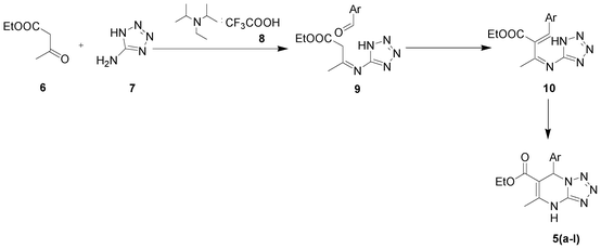 Plausible mechanism of DHTPM synthesis.