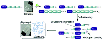 Schematic representation showing enzymatic hydrolysis/reverse hydrolysis, self-assembly of a single predominating product and formation of a self-supporting hydrogel.