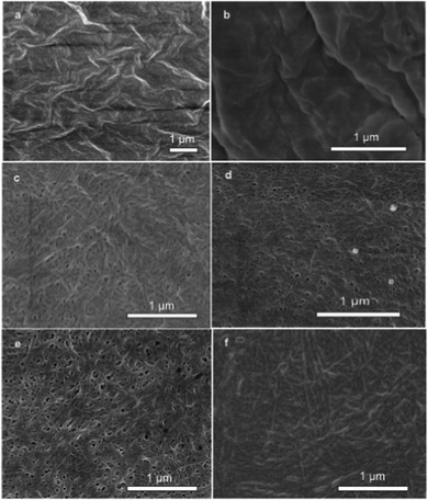 FE-SEM images of the Nmoc-VVV/Nmoc-V system. SEM images of (a) Nmoc-VVV before addition of enzyme and after enzyme addition at (b) 5 min, (c) 1 h, (d) 6 h, (e) 1 day and (f) 1 month. (b) to (f) show the change of nanostructural morphology with subsequent formation of Nmoc-V leading to formation of a self-supporting hydrogel.