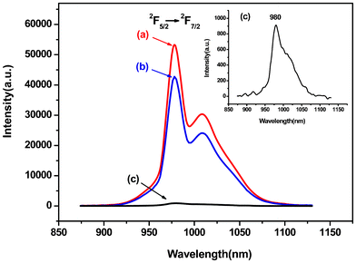 Emission spectra of (a) PEK-Yb3+-HQ, (b) Yb3+-HQ, and (c) PEK-Yb3+.