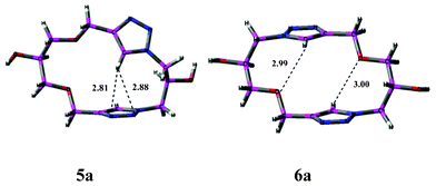 The monomeric arrangement of representative macrocycles, 5a and 6a. The intramolecular hydrogen bond distances are given in Å units.