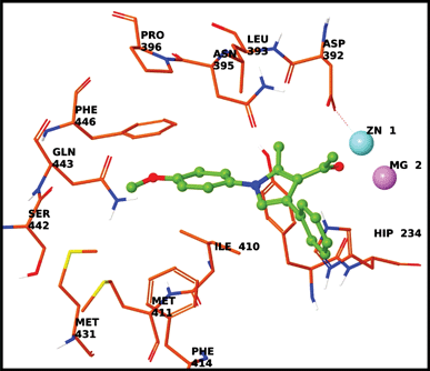 Docking of 4g in the active site of PDE4B.