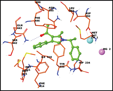 Docking of 4n in the active site of PDE4B.