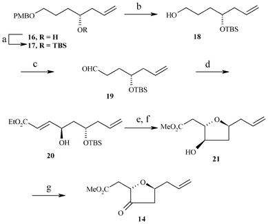 Reagents: a) TBSCI, imidazole, anhydrous CH2Cl2, 0 °C, 2 h, 92% b) DDQ, CH2Cl2 : H2O (9 : 1), 0 °C, 30 min., 78%; c) IBX, anhydrous CH2Cl2, anhydrous DMSO, 0 °C–r.t., 10 h, 82%; d) i) PhNO, l-Proline (40 mol %), triethyl phosphonoacetate, Cs2CO3, anhydrous DMSO, r.t., 1 h; ii) Cu(OAc)2, EtOH, r.t., 12 h, 52%, 98% de; e) TBAF, anhydrous THF, 0 °C–r.t, 30 min, 80%; f) Triton-B, MeOH, r.t., 1 h, 78%; g) IBX, anhydrous CH2Cl2, anhydrous DMSO, 0 °C–r.t., 2 days, 70%.