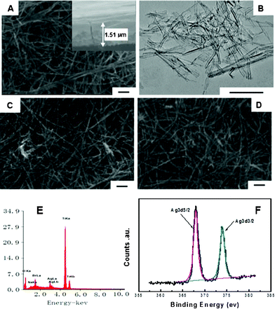 FE-SEM images of TN (A), AgBr–TN(C), AgBr–TN–C(D) films, TEM image of TiO2 nanotubes (B), EDS spectrum (E) and XPS spectrum of Ag 3d (F) of AgBr–TN–C films.