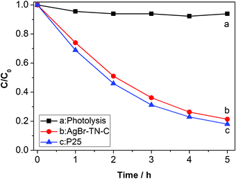 Photocatalytic activity of MO degradation under visible light irradiation.