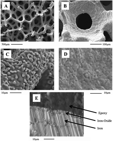 SEM images showing the macrocellular structure of IF800 (A) and morphology surrounding one cell (B). Images (C) and (D) show surface morphology for this sample, before and after being heat treated in air for 4 h, respectively. (E) SEM cross-section of a 4 h heat treated IF800 sample cast into epoxy resin.