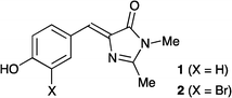 Model compound of the GFP chromophore.