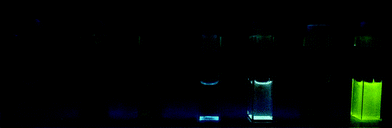 Fluorescence of GFPc molecules dissolved in MeOH at a concentration of 0.1 mM. From left to right: neat MeOH, 1, 5, 13, 15, 3, 14.