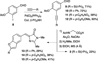 Synthesis of benzofuran derivatives of the GFPc.