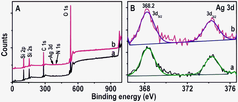 XPS survey spectra and Ag 3d regions (A and B, respectively) of immobilized Ag@citrate NPs before and after passing Hg2+ (traces a and b, respectively). The spectra have been normalized with respect to the Si 2p feature in A and Ag 3d5/2 in B, but shifted vertically for clarity.