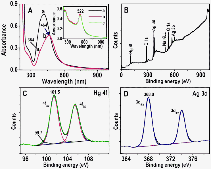 A) UV-vis absorption spectra of Ag@citrate NPs before and after treatment with 5 ppm Hg2+ for 6.0 h (traces a and b, respectively). B–D are XPS survey spectrum, Hg 4f and Ag 3d regions, respectively of Ag@citrate NPs treated with 5 ppm Hg2+ for 6.0 h. Inset: UV-vis absorption spectra of Au@citrate NPs and 5 ppm Hg2+ after interaction for 5 min, 3.0 and 6.0 h (a, b and c, respectively).