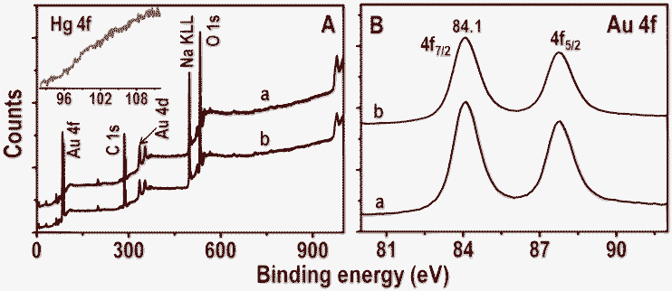 XPS survey spectra and Au 4f regions (A and B, respectively) of Au@citrate NPs before and after treatment with 5 ppm Hg2+ for 6.0 h (traces a and b, respectively). Inset of A is the Hg 4f region of trace b.