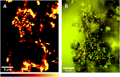 (A) Mapping of 1/GO composite obtained using the integrated intensity of the 2576–2763 cm−1 band, in a confocal Raman microscope (using a 532 nm laser). (B) A photograph of the same sample region under visible light. The bottom bar shows the colour profile, with signal-integrated intensity increasing from left to right.