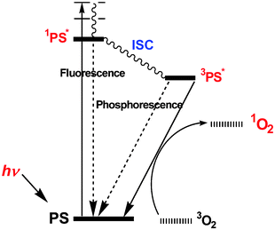 PDT action by a simplified Jablonski diagram.