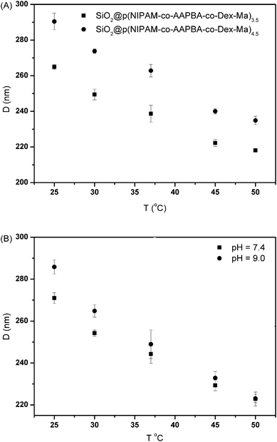 Average hydrodynamic diameter of the core–shell microgels as a function of temperature: (A) different samples; (B) SiO2@p(NIPAM-co-AAPBA-co-Dex-Ma)3.5 at different pH values.