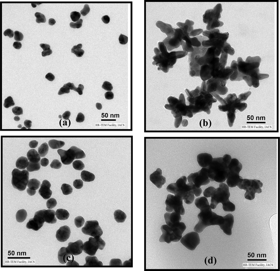 TEM images of (a) PAu, (b) PRAu31, (c) PRAu11 and (d) PRAu13 systems.