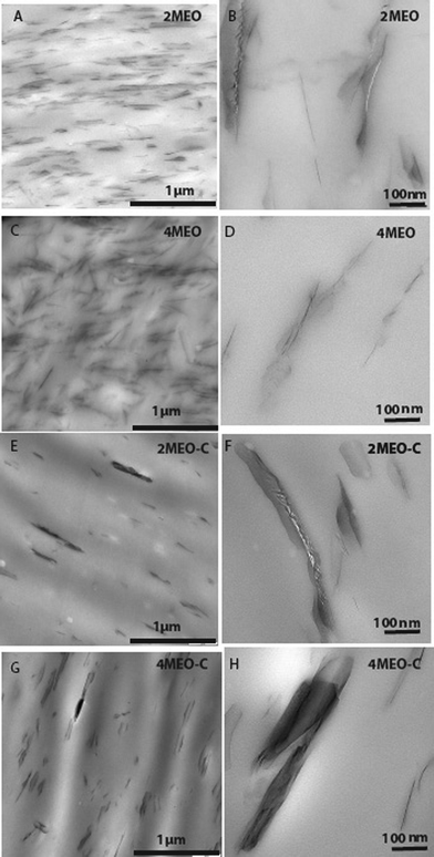 TEM micrographs of (A&B) 2MEO, (C&D) 4MEO, (E–G) 2MEO–C and (G-H) 4MEO–C.