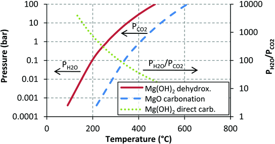 Equilibrium curves relating the temperature to the pressure for eqn (1), (2) and (5).