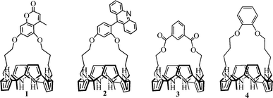 Some of the recently developed strapped calix[4]pyrroles.