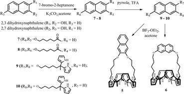 Synthetic route for the strapped calix[4]pyrroles 5 and 6.