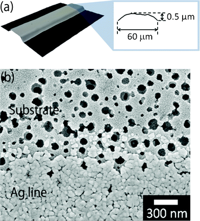 (a) Convex-shaped line with a large resistance of 16 Ω after heating at 200 °C for 30 min. (b) Observation by FE–SEM of the surface of a porous-structured polyimide substrate (upper) and inkjet-printed line of silver-nanoparticle ink (lower).