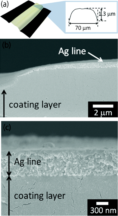 (a) A Convex-shaped line with a low resistance of 8 Ω after heating at 200 °C for 30 min. (b) Cross-sectional FE–SEM observation of heated lines on a polymer-coated polyimide film. (c) Cross-sectional FE–SEM observation of silver nanoparticles and a coated polymer layer of the heated lines.