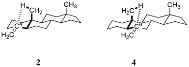 Five-membered CH/π hydrogen bond (intensified) may take place in 2 and 4.