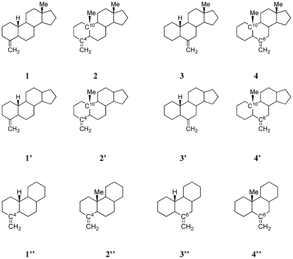 Structures of four exomethylene steroids 1, 2, 3 and 4, tetracyclic model compounds 1′, 2′, 3′ and 4′ and tricyclic model compounds 1′′, 2′′, 3′′ and 4′′.