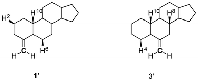 Structures of tetracyclic model compounds 1′ and 3′. Hydrogens interacting with a methylene group are shown explicitly.