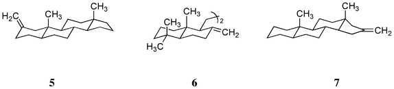 Structures of three exomethylene compounds 5, 6 and 7.