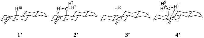 Structures of tetracyclic model compounds 1′, 2′, 3′ and 4′. Hydrogens interacting with a methylene group are shown explicitly.