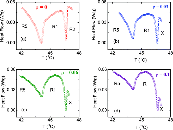 DSC profiles for (a) the pure C24 and (b, c, d) the three hydrophobic composites in the vicinity of the R2–R1 (X–R1 for the composites) and R1–R5 transitions. The significant weakening of both the transitions with increasing ρ is clearly seen.