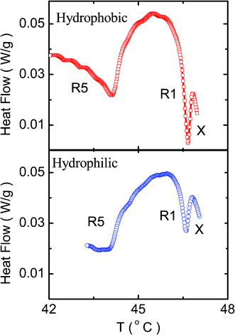 A comparison of the profiles obtained for the ρ = 0.1 concentration composites with hydrophobic (top panel) and hydrophilic (bottom panel) particles. The system with latter type of particles exhibits much weaker transitions.