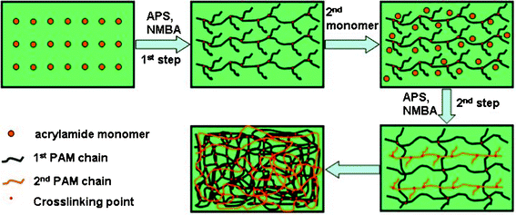 Schematic of a “two-step” synthesis of the PAM/PAM IPN membranes.