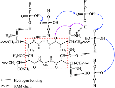 A proposed proton transfer mechanism in H3PO4-imbibed PAM/PAM IPN membranes. The red square shows the 3D structure unit of PAM/PAM IPN matrix.