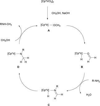 Possible mechanism.