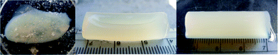 Physical appearance of different pectin gel monoliths after solvent exchange to ethanol: HM-pectin from citrus with (left) and without (middle) sucrose addition during gelation, and HM-pectin from apple–citrus without sucrose addition (right).