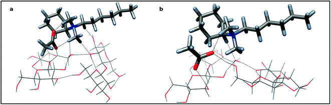 The associate of two cellobiose units and (cyclohexyl)hexyldimethylammonium acetate: 5a—the “closed” disposition of aligned cellobiose dimer (sticks) and (cyclohexyl)hexyldimethylammonium acetate (tubes) as an ionic pair connected with hydrogen bonds, 5b—the “open” disposition with acetate inserted into cellobiose dimer with two sugar residues—acetate hydrogen bonds. Colors of atoms: dark gray—carbon; red—oxygen; blue—nitrogen; light gray—hydrogen.