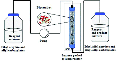 Scheme of the continuous-flow system applied.