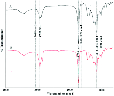 FT-IR spectra of the copolymers prepared from a distilled mixture of acrylic esters (A), and crude reaction mixture (B) (acrylic esters and dodecanoic esters) using bulk polymerization.