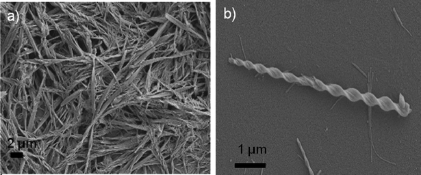 (a) SEM image Malt–Tz–C10–Azo–OCH3 xerogel (2.0 wt% DMSO/water 1 : 1 w/w), (b) SEM image of a single twisted ribbon.