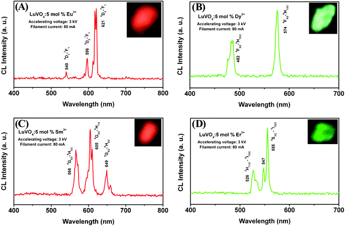 Typical cathodoluminescence spectra of (A) LuVO4:5 mol% Eu3+, (B) LuVO4:5 mol% Dy3+, (C) LuVO4:5 mol% Sm3+, and (D) LuVO4:5 mol% Er3+ samples.